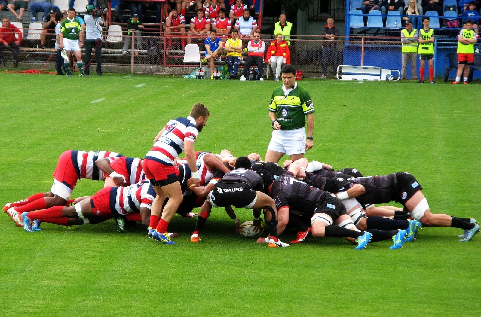 Des joueurs de rugby poussent en mêlée fermée