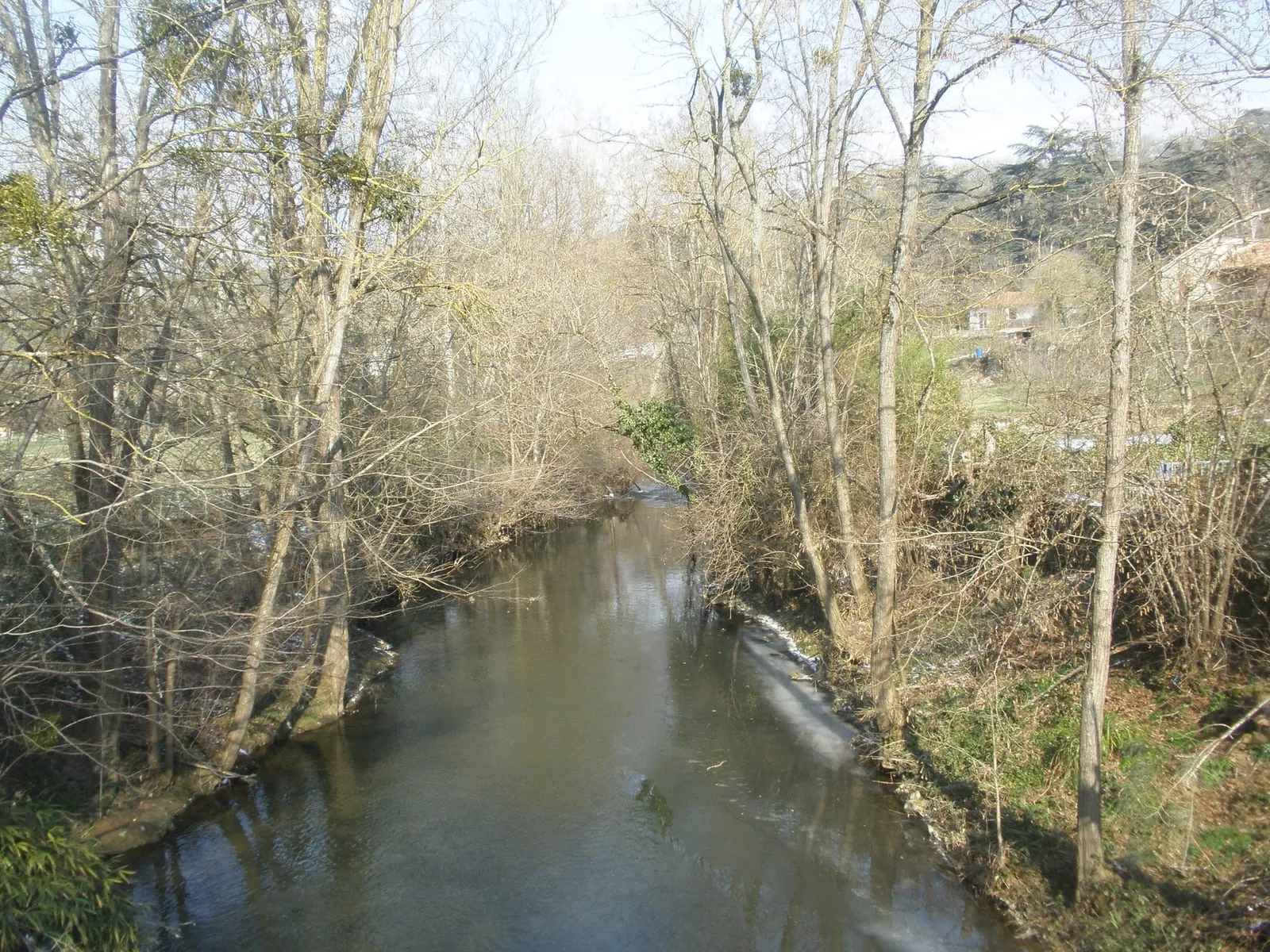 Le Cérou à Monestiés, entre berges boisées et maisons du village