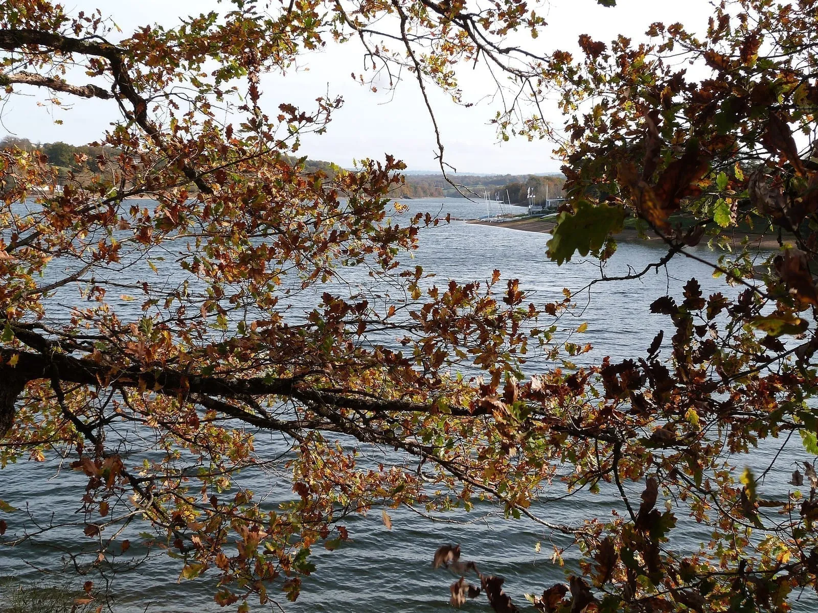 Le lac de la Roucarié en automne, entre arbres colorés et pontons de la base de loisirs