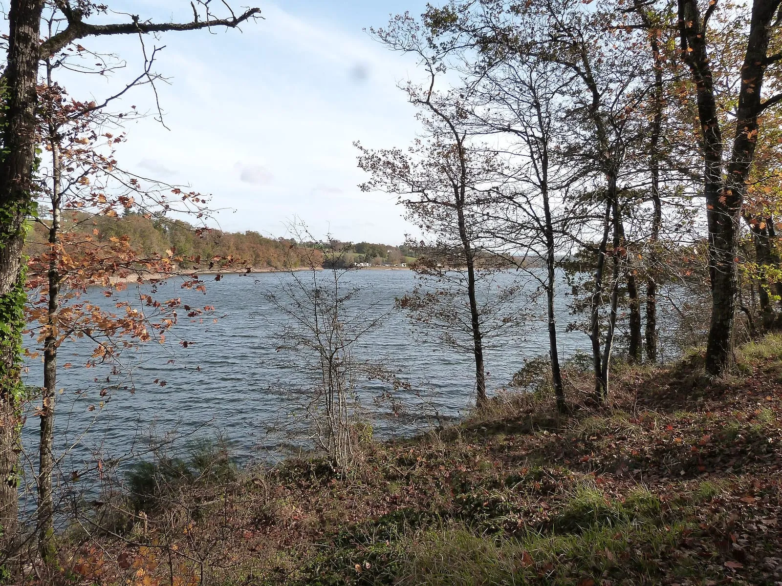 Les rives du lac de la Roucarié, dans le Ségala tarnais
