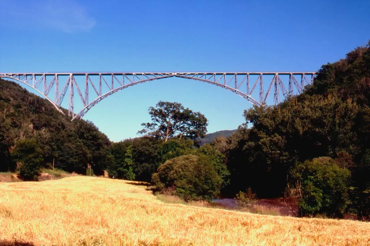 L'arche métallique du viaduc du Viaur vue depuis l'ouest, au-dessus de la vallée boisée